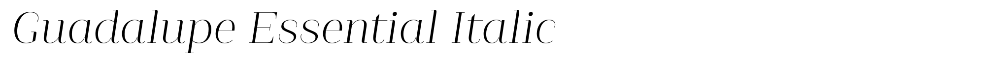 Guadalupe Essential Italic image